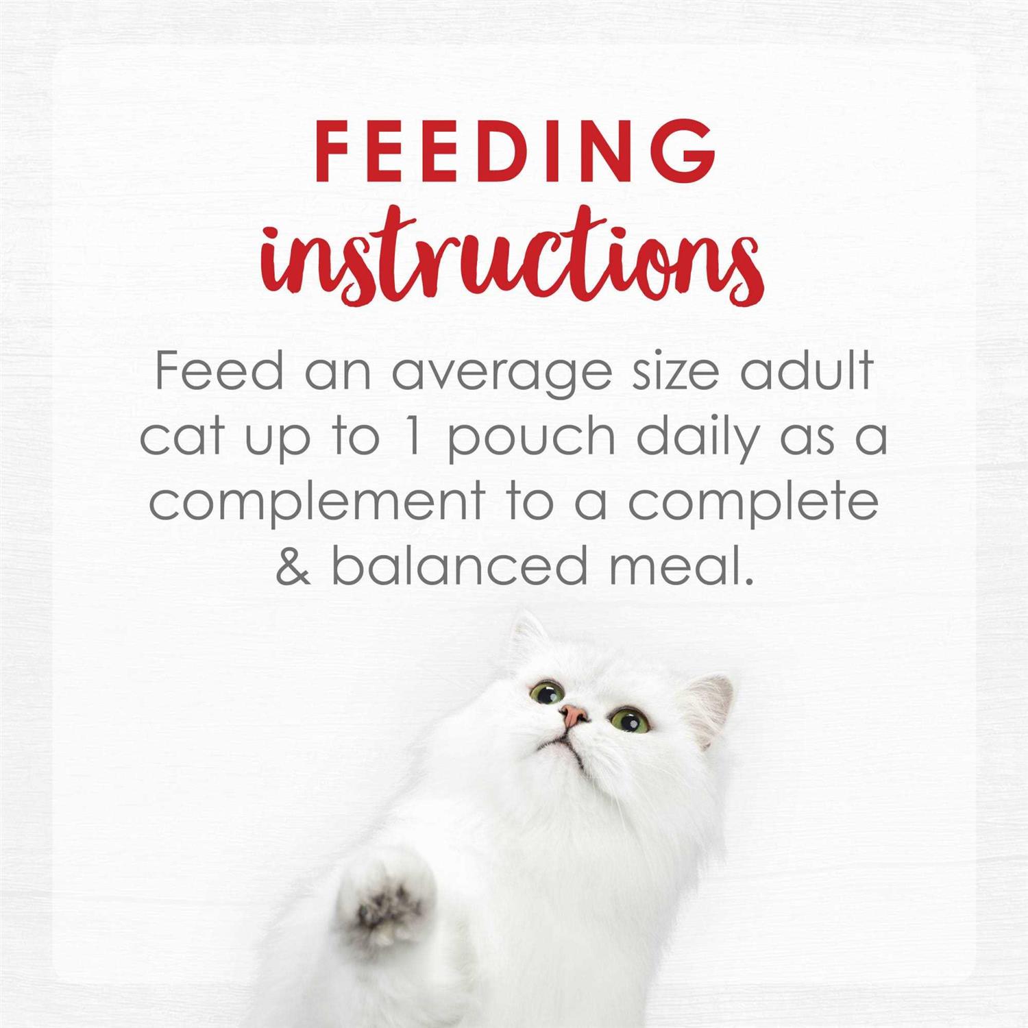 Fancy Feast Broths Creamy Wet Cat Food