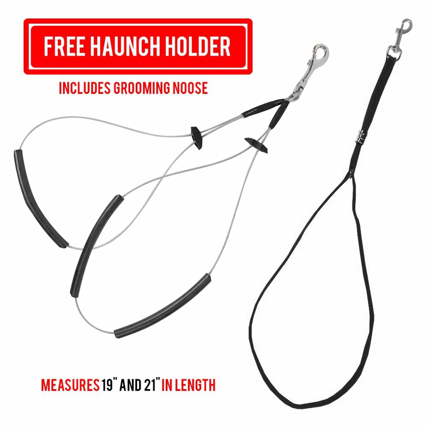 Downtown Pet Supply Dog Grooming Table Arm