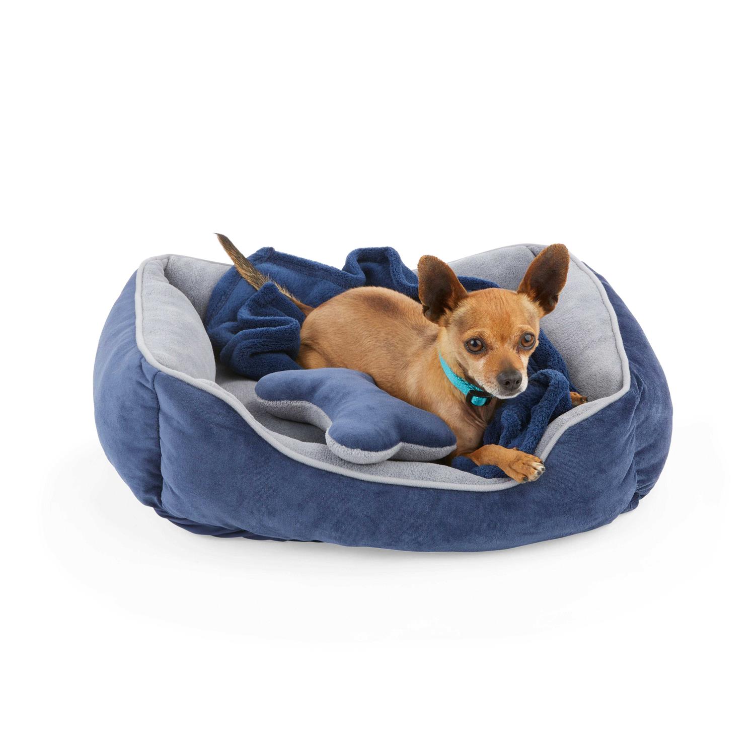 EveryYay Essentials Snooze Fest Dog Bed Bundle
