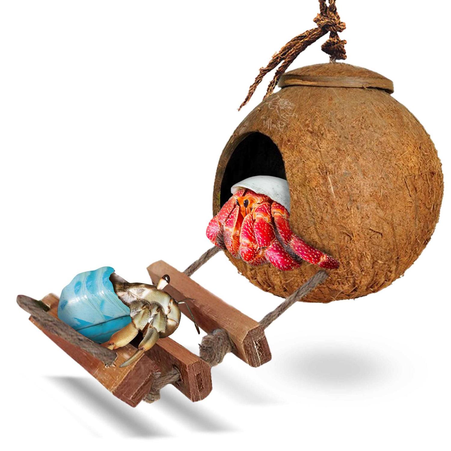 SunGrow Hermit Crab Coco Hut with Ladder