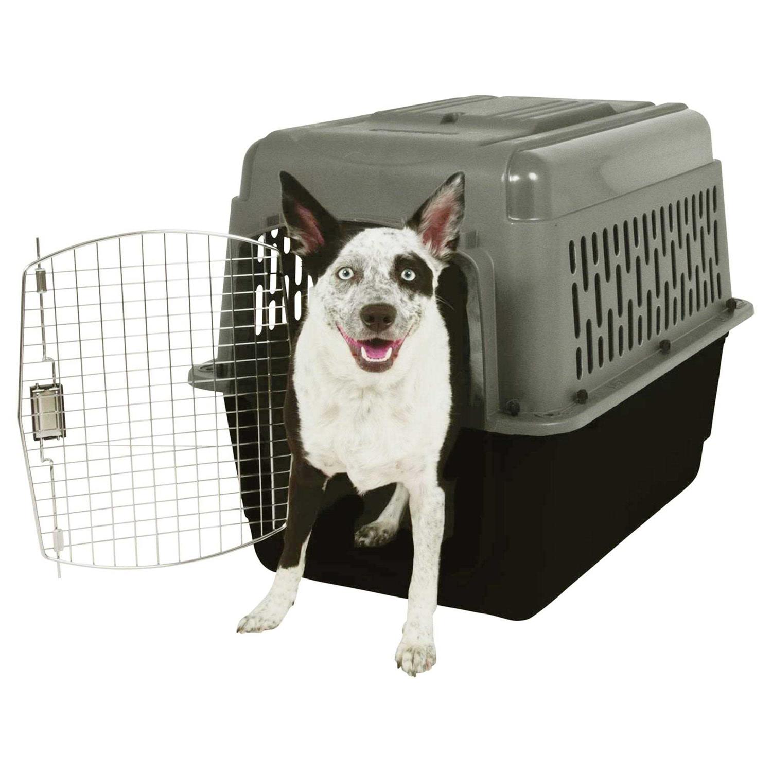 Aspen Pet Porter