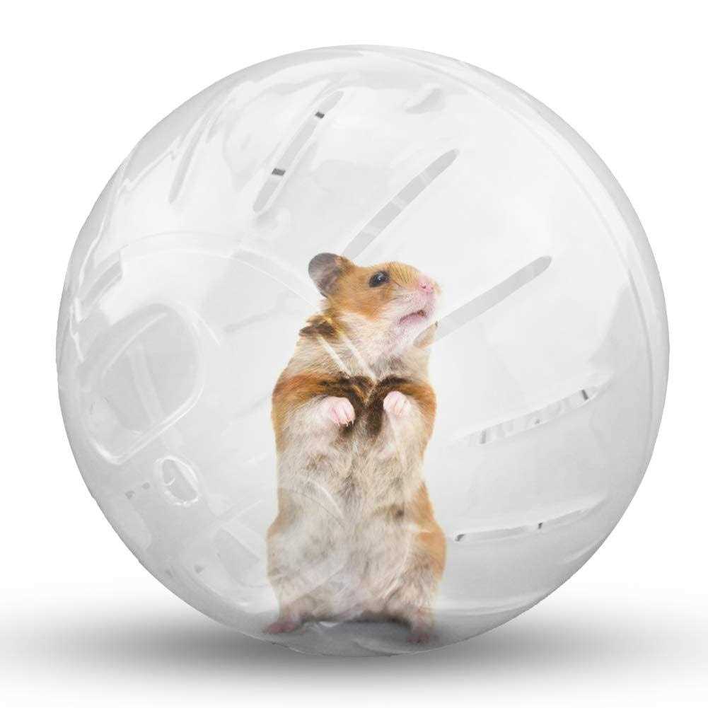 CHUQIANTONG Hamster Exercise Ball Silent Hamster Wheel Small Animals Transparent Ball For Dwar Rat Relieves Boredom And Increases Activity