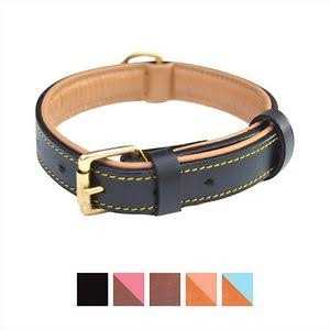 Soft Touch Collars Leather Dog Collar Padded