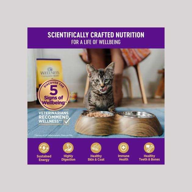 Wellness Healthy Indulgence Natural Grain Free Gravies and Gravy Cat Food Pouch