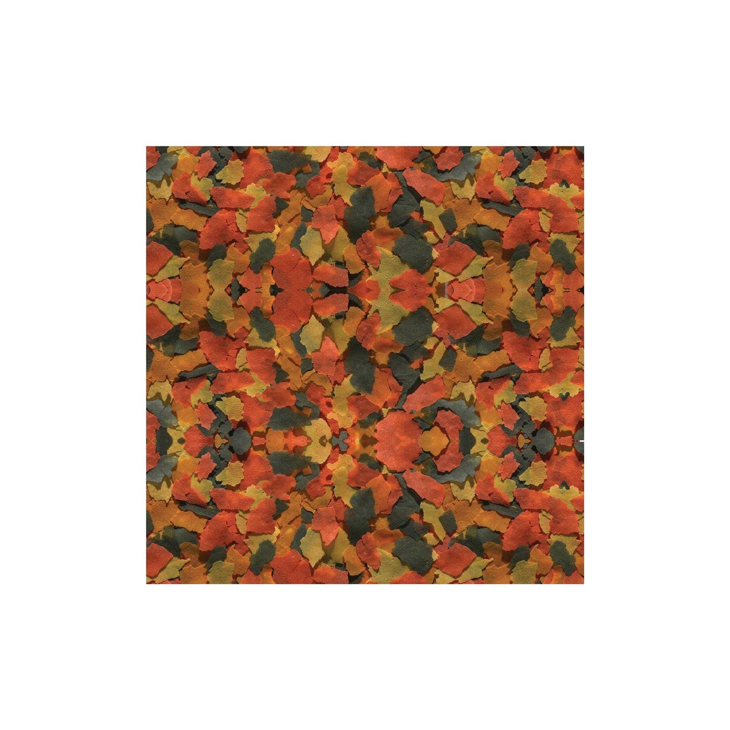 TetraColor Plus Tropical Fish Food Flakes