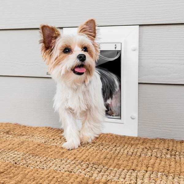 PetSafe Wall Entry Pet Door