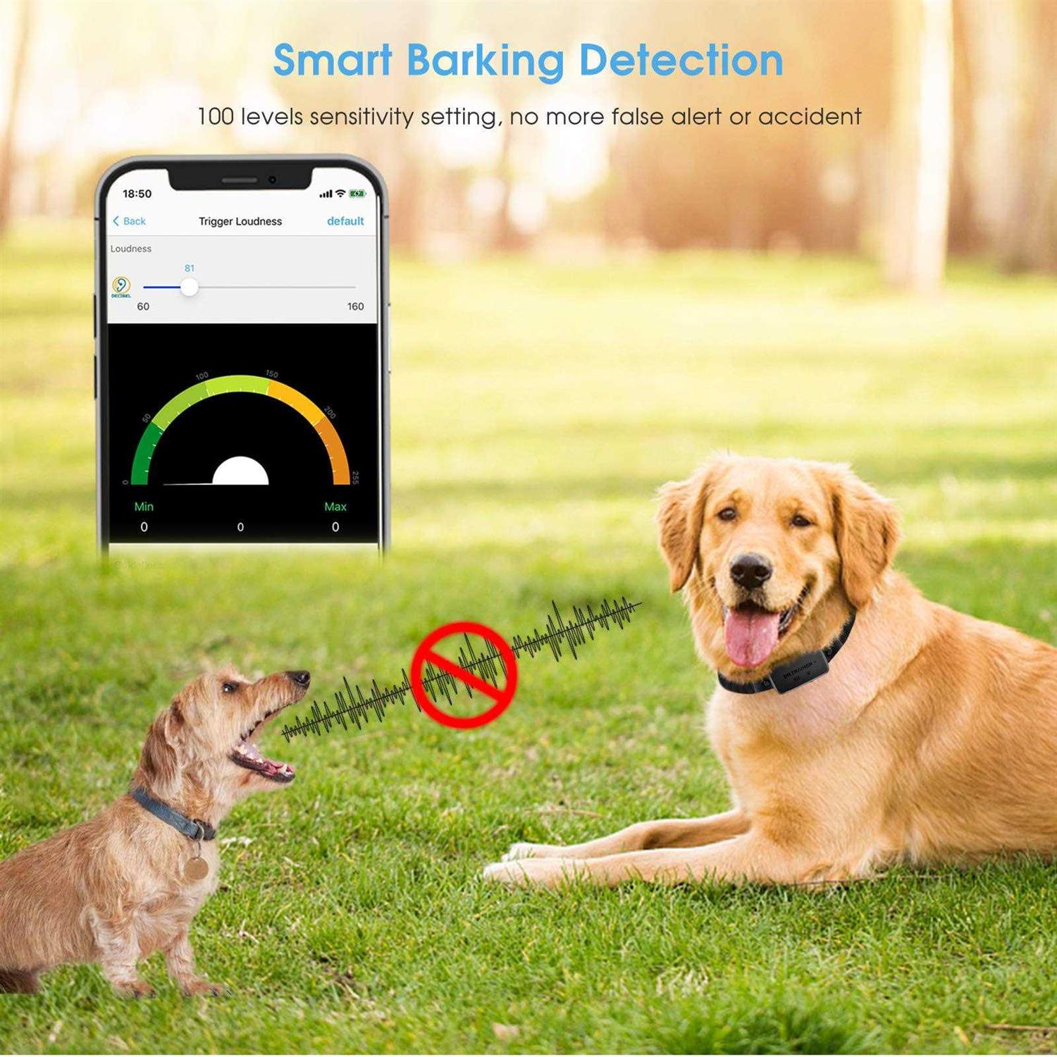 Dr.Trainer Bark Collar APP Control Waterproof Dog Collar Progressive Barking Custom