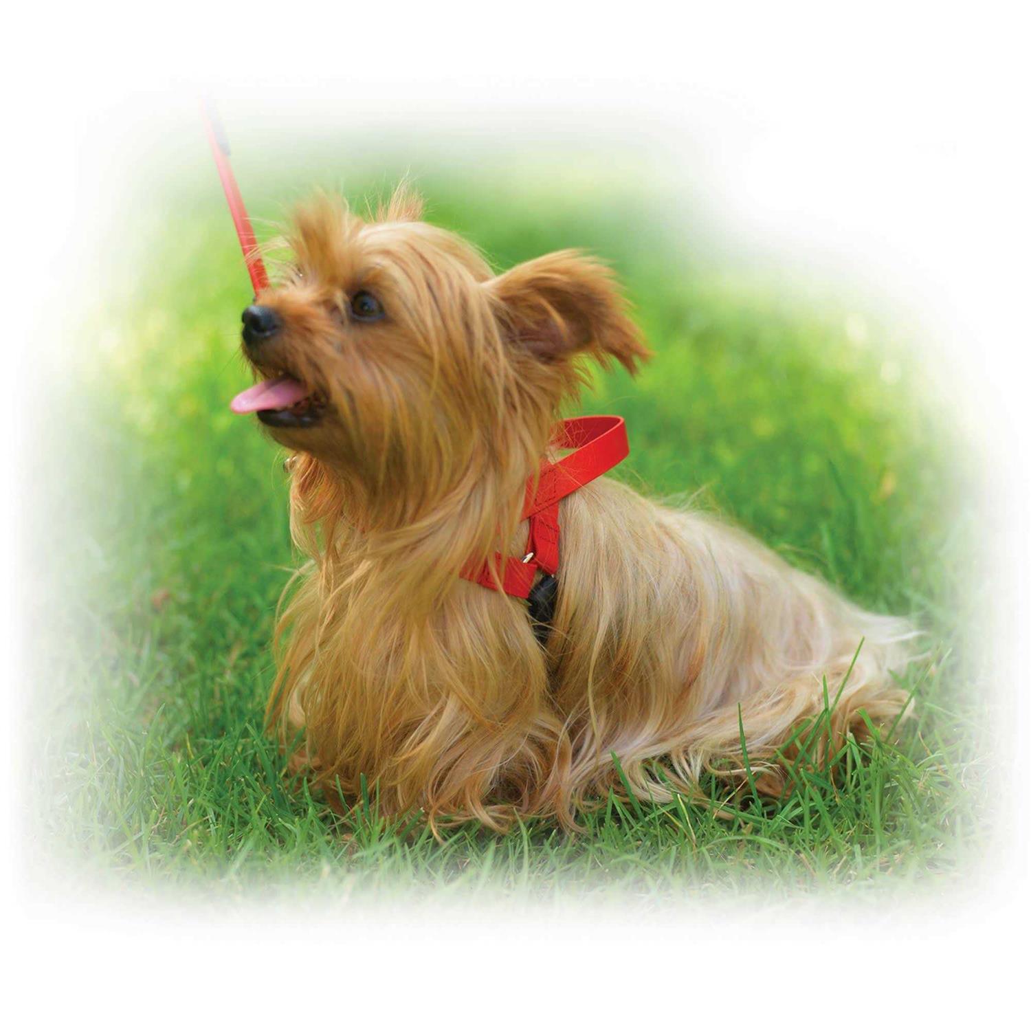 Ultrahund Freedom Harness