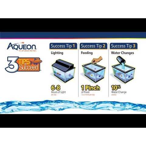 Aqueon Frameless Cube Aquarium