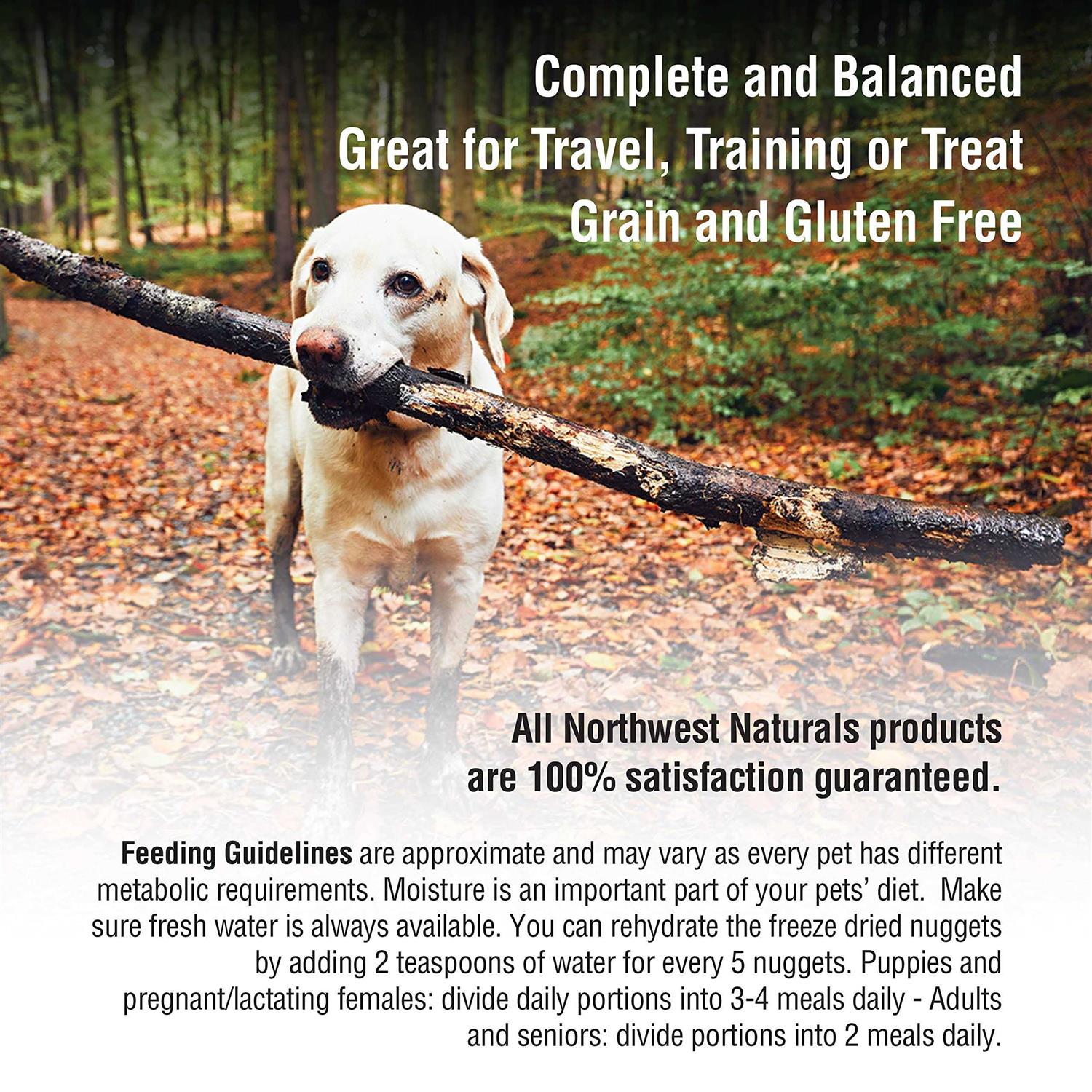 Northwest Naturals Freeze-Dried Nuggets Raw Dog Food