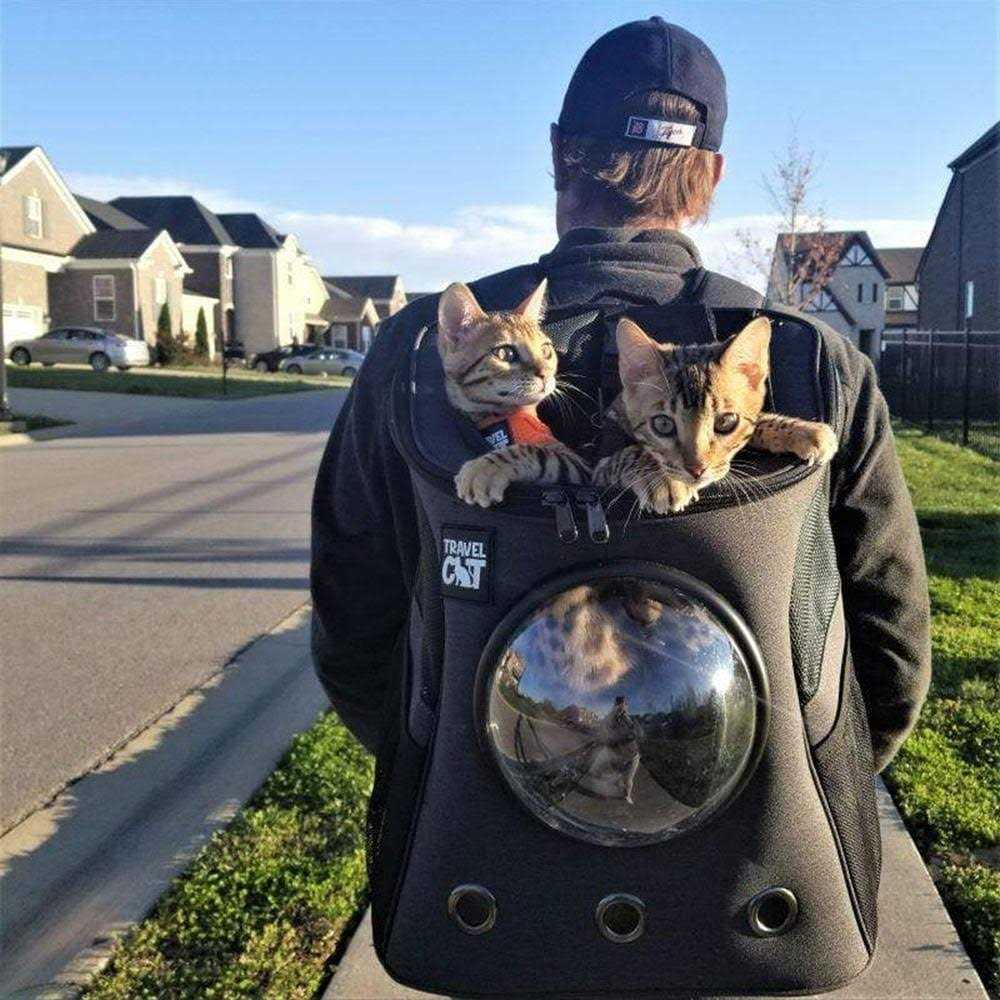 The Fat Cat Cat Backpack