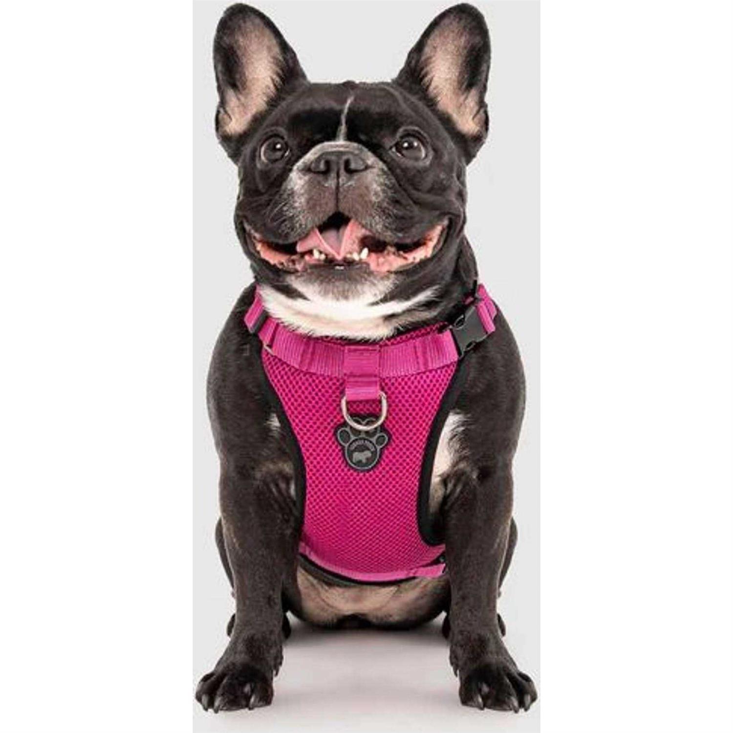 Canada Pooch Dog Everything Harness