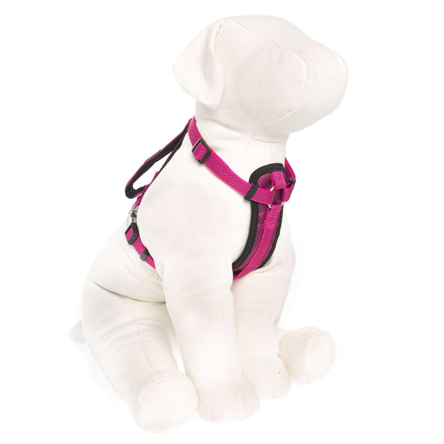 Kong Comfort Padded Chest Plate Dog Harness