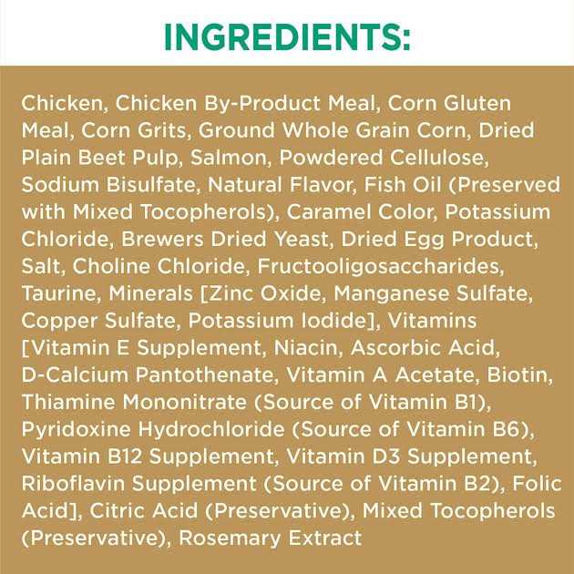 Iams Proactive Health Care Salmon Adult Dry Cat Food