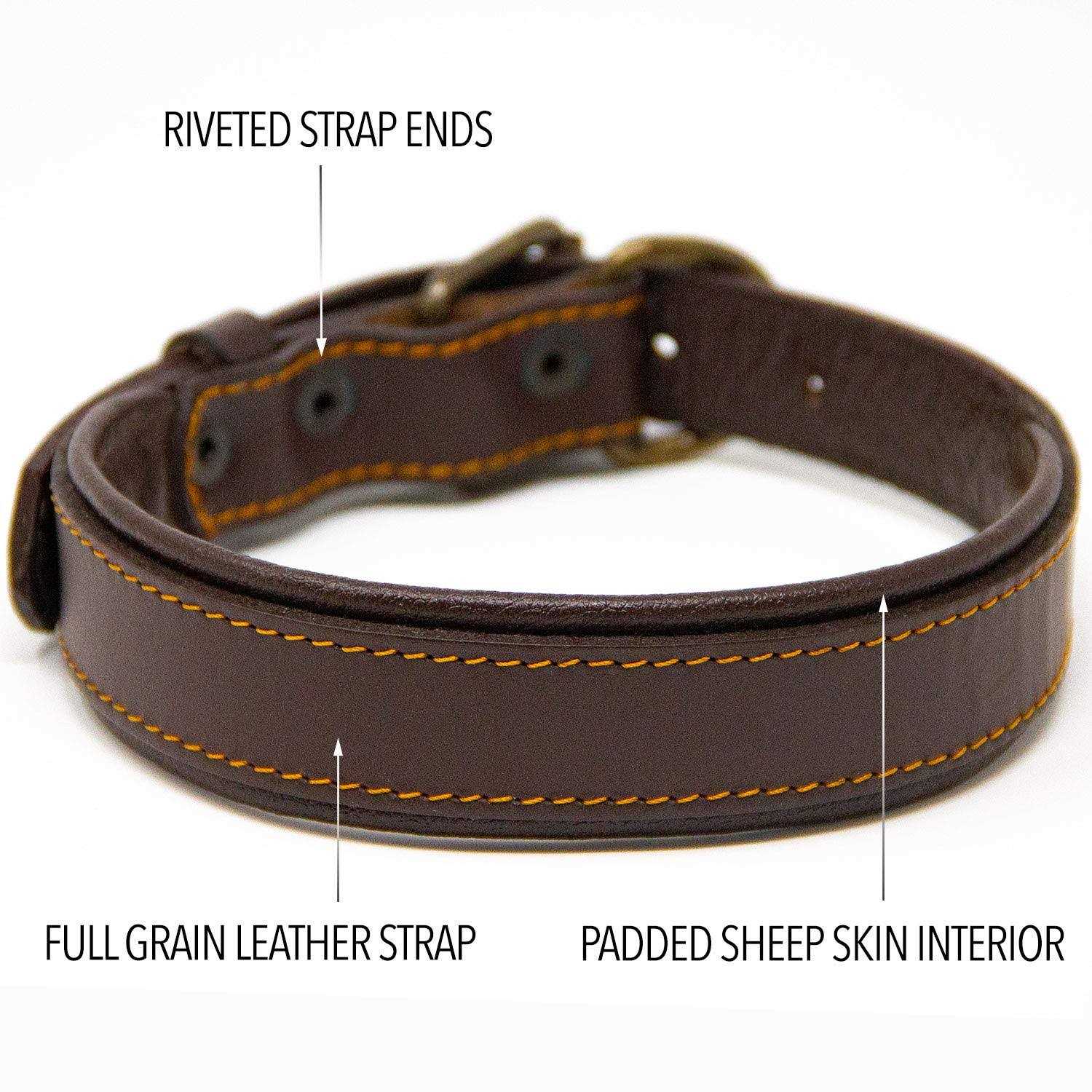 Logical Leather Padded Dog Collar Best Full Grain Genuine Leather Collar