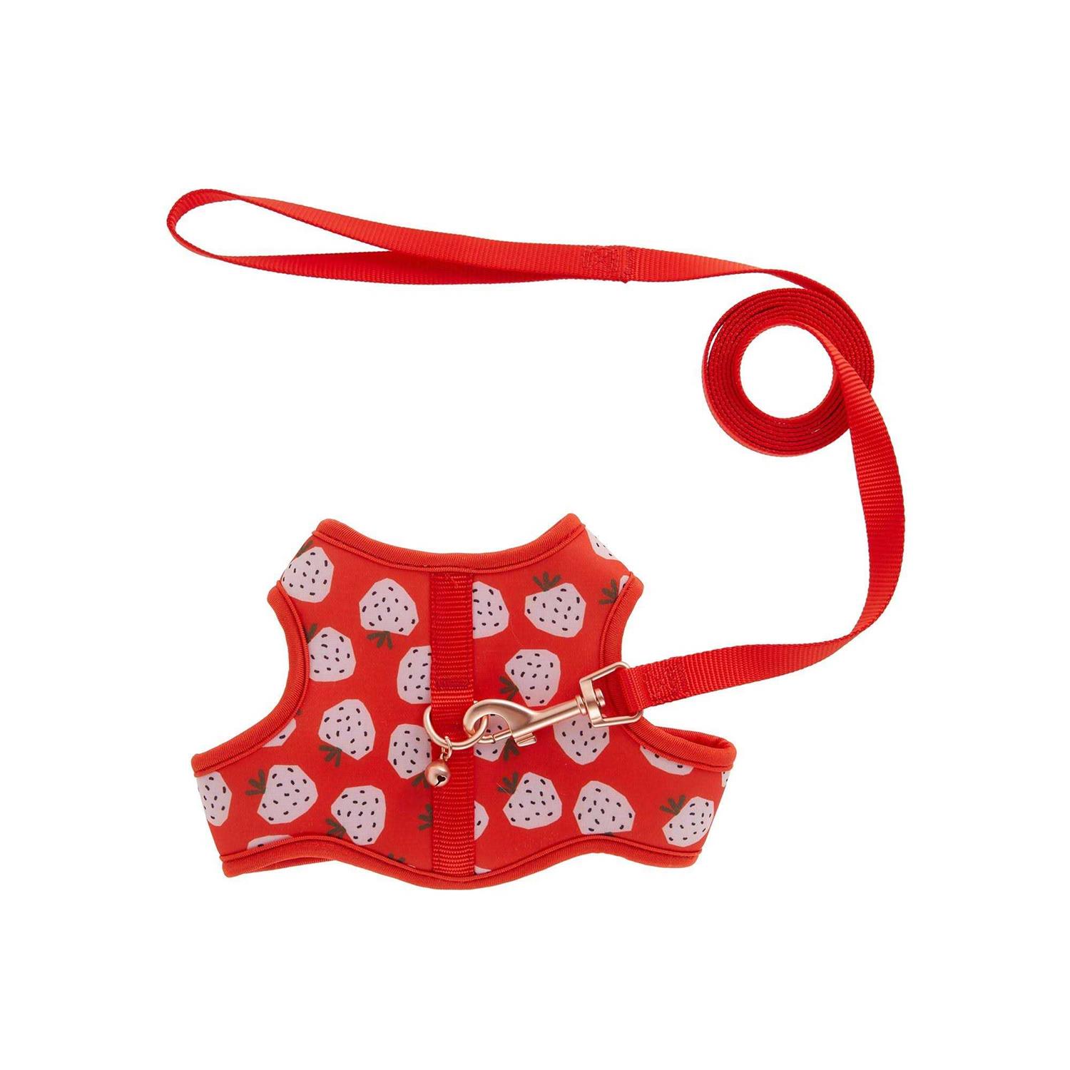 Whisker City Cat Leash and Harness Combo