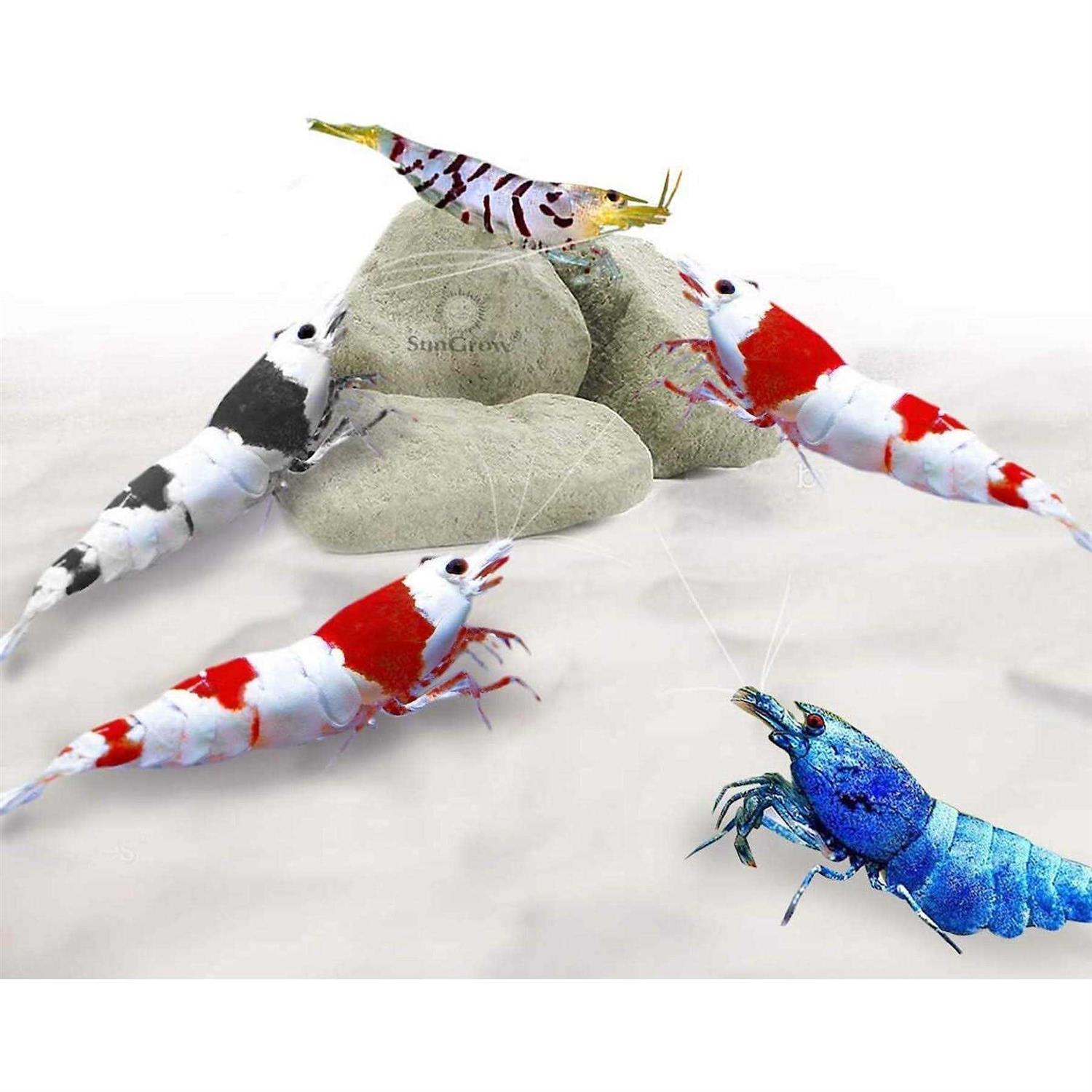 Sungrow Shrimp Mineral Rocks for Molting