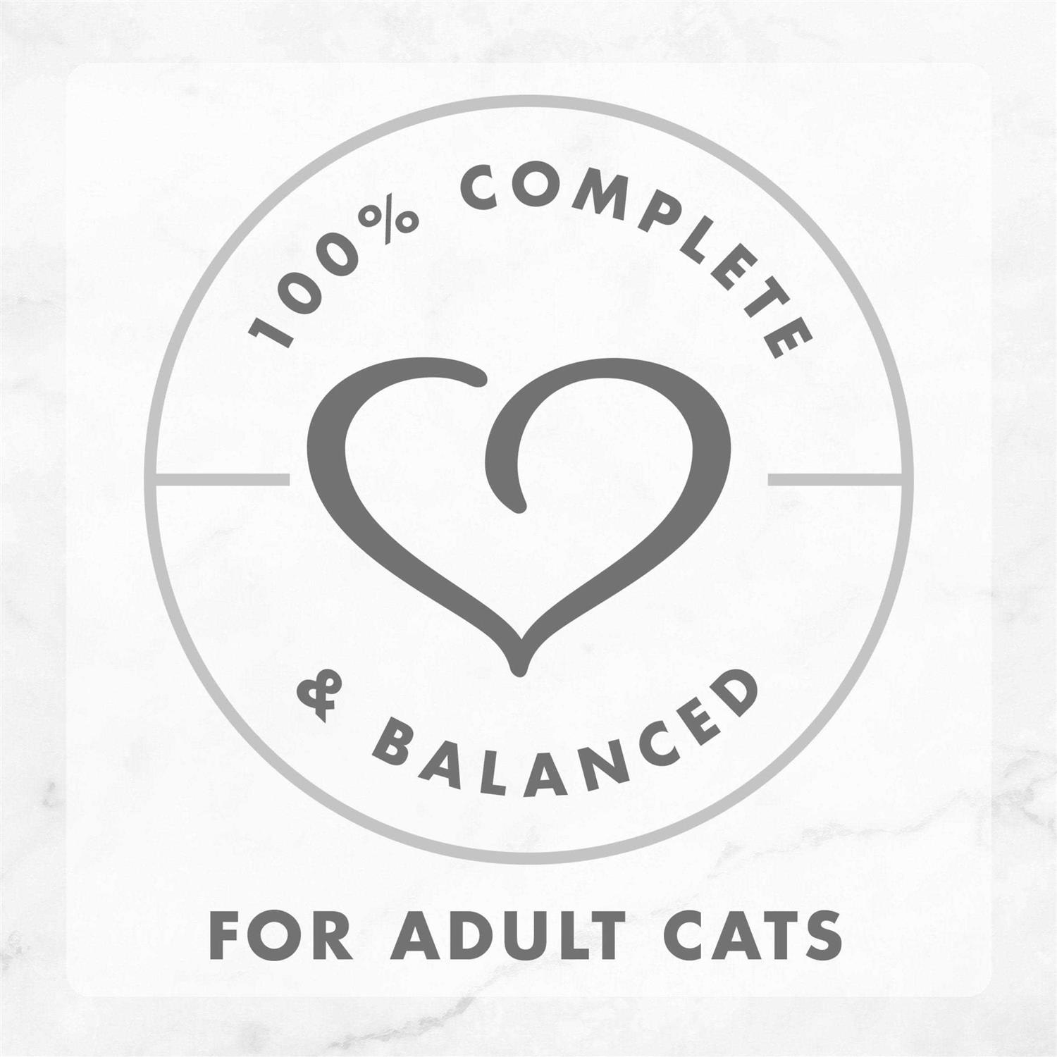 Fancy Feast Gourmet Wet Gravy Lovers Cat Canned Food