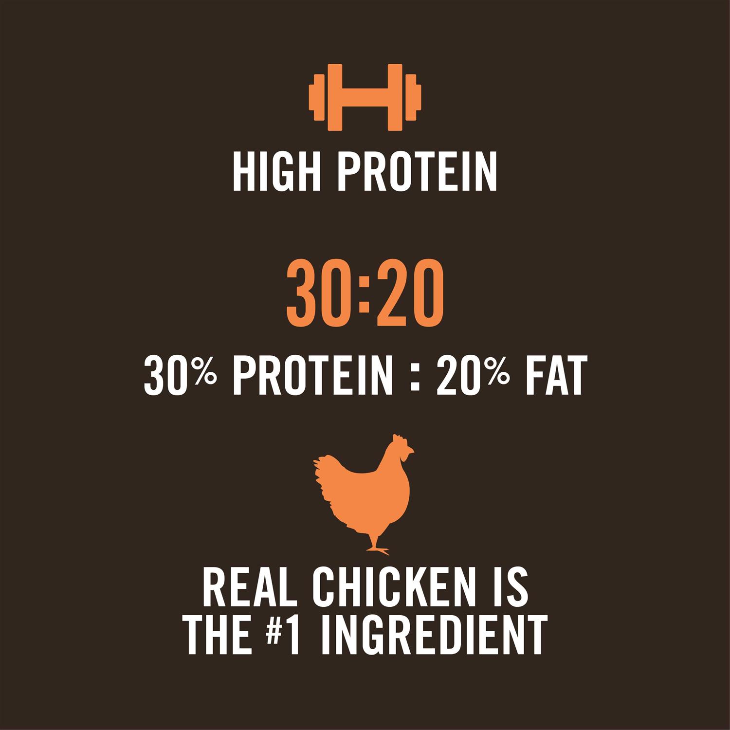 WholeHearted Active Performance High-Protein Chicken & Rice Recipe Dry Dog Food