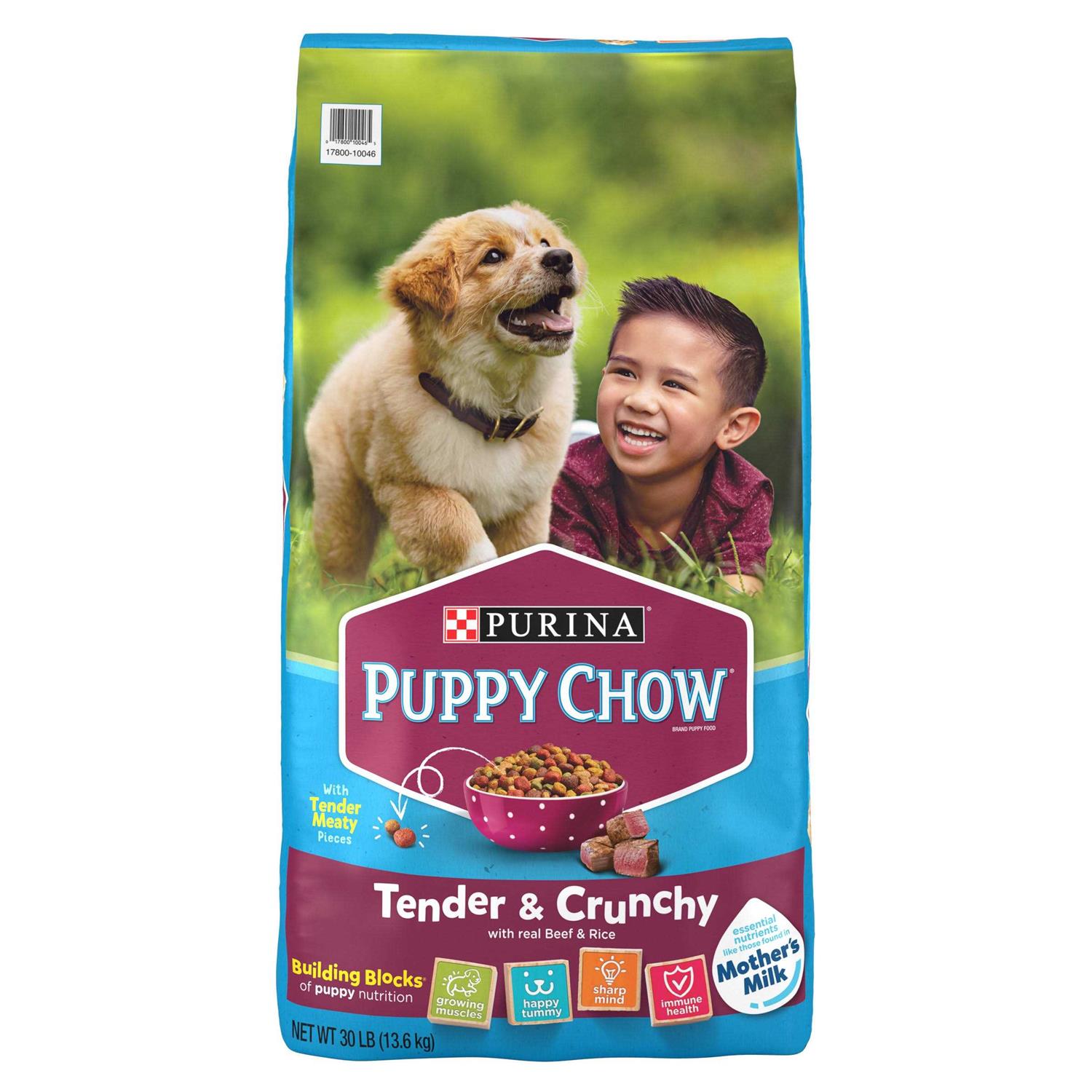 Purina Puppy Chow Tender Crunchy Real Beef Dry Puppy Food