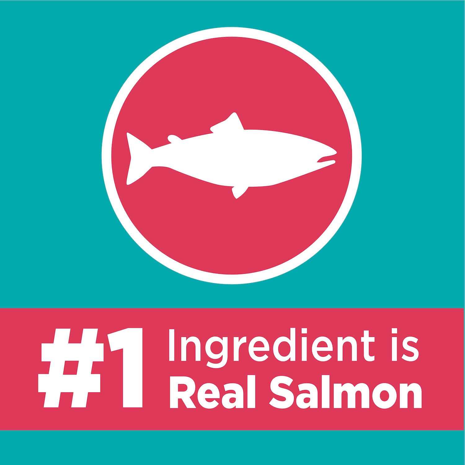 Iams Proactive Health Care Salmon Adult Dry Cat Food