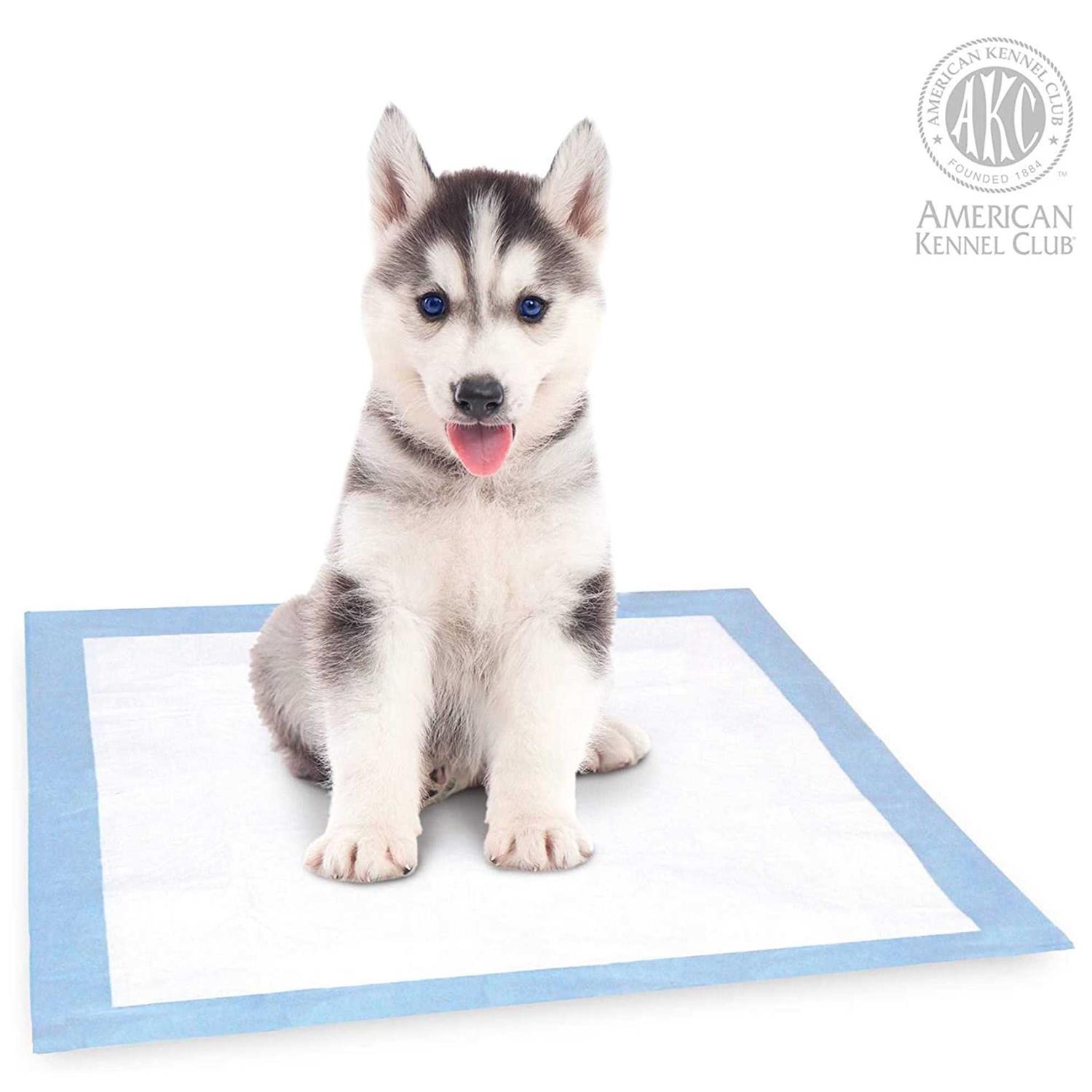 American Kennel Club Training Pads
