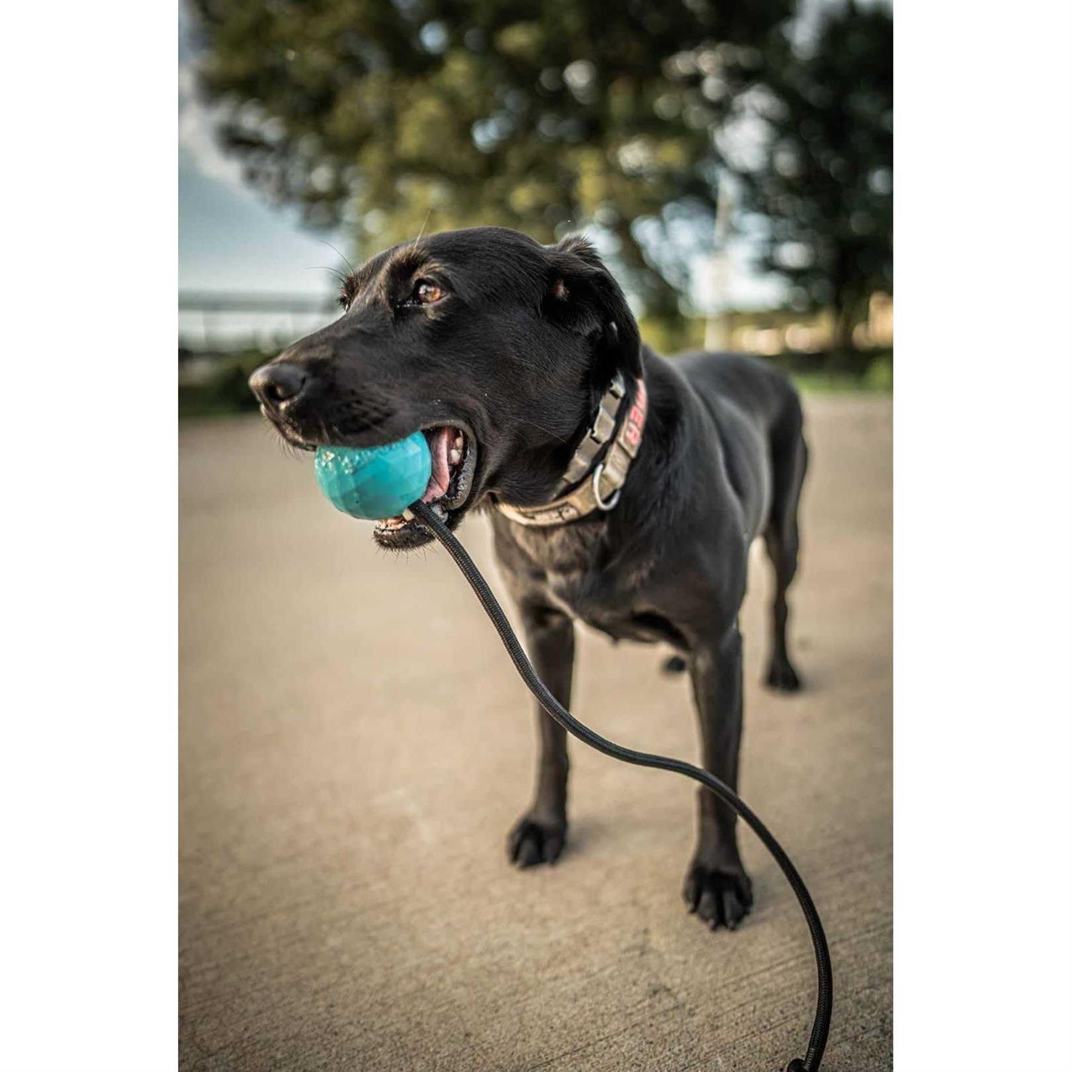 K9 Ops Dog Ball on a Rope moki Tug Toy Solid Rubber Fetch Training Reward