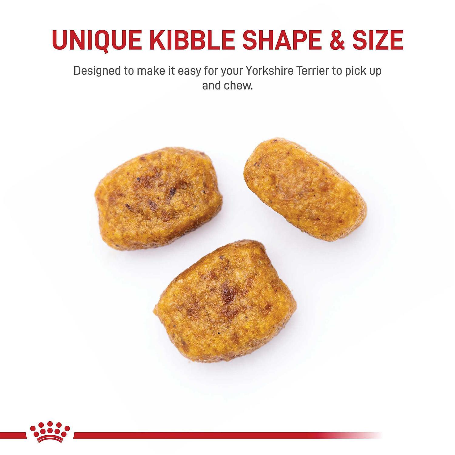 Royal Canin Adult Yorkshire Terrier Dry Dog Food