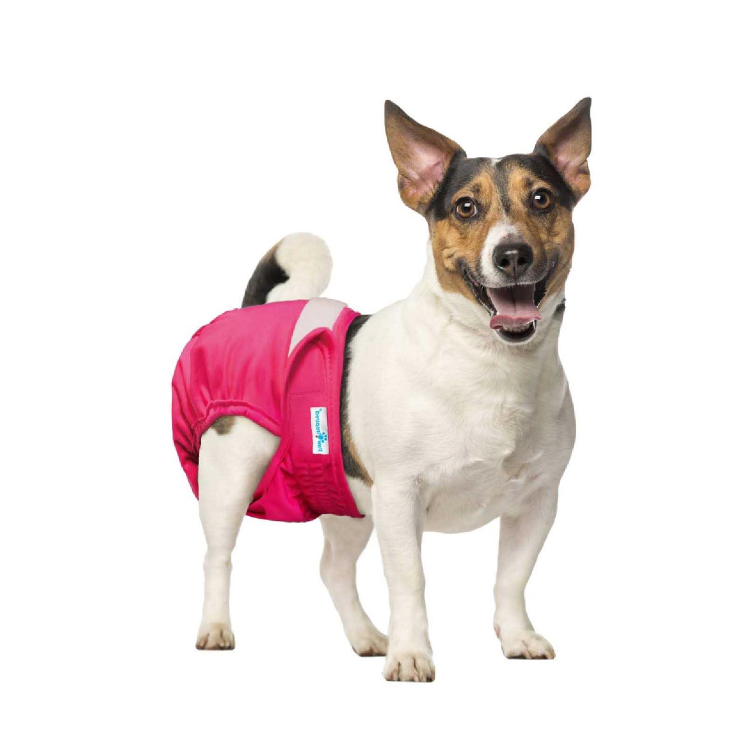 Paw Inspired Washable Dog Diapers Reusable Dog Diapers Female Dog Diapers