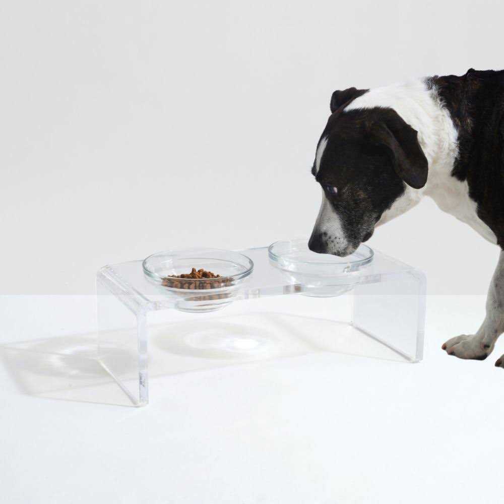 Glass Bowl Clear Elevated Feeder Hiddin