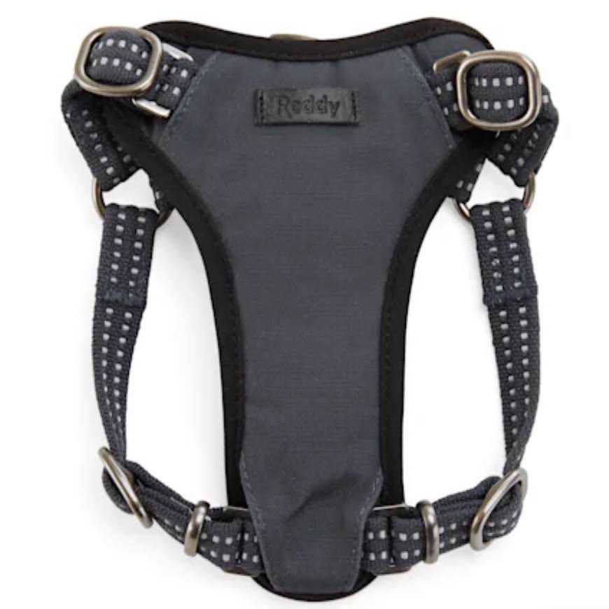 Reddy Small Dog Harness