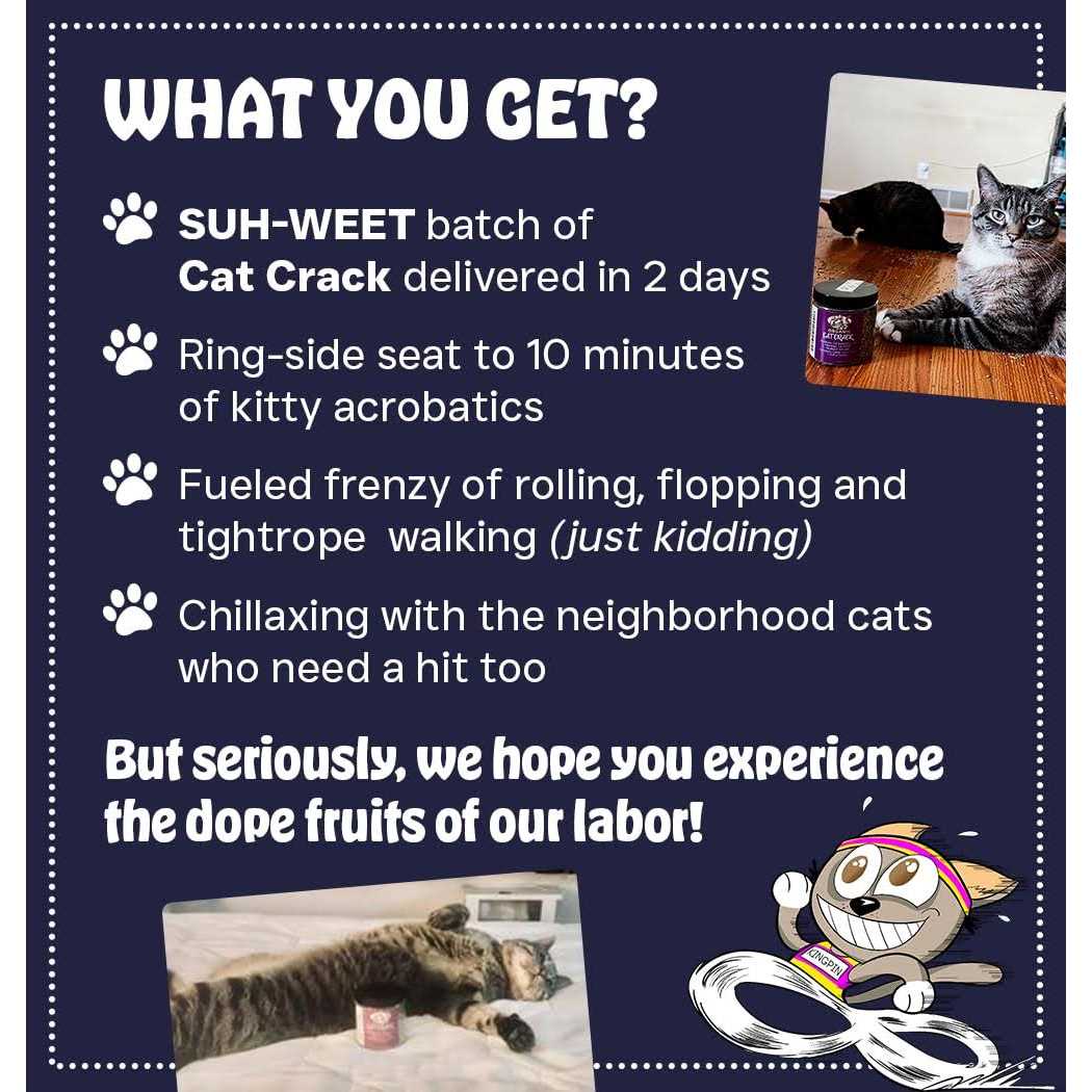 Cat Crack Catnip Blend Cats
