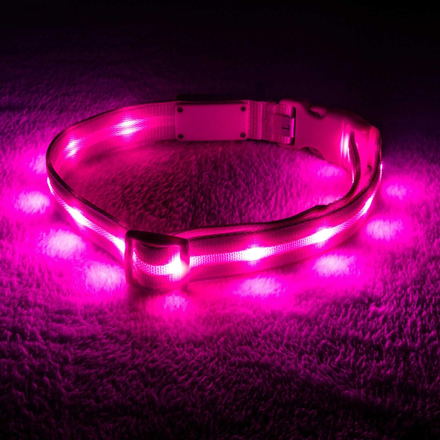 Blazin LED Light Up Dog Collar 1,000 Feet of Visibility