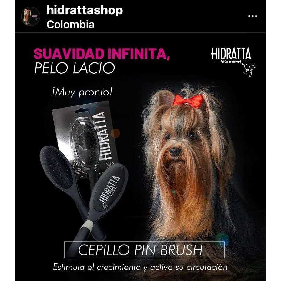 Hairbrush for pets