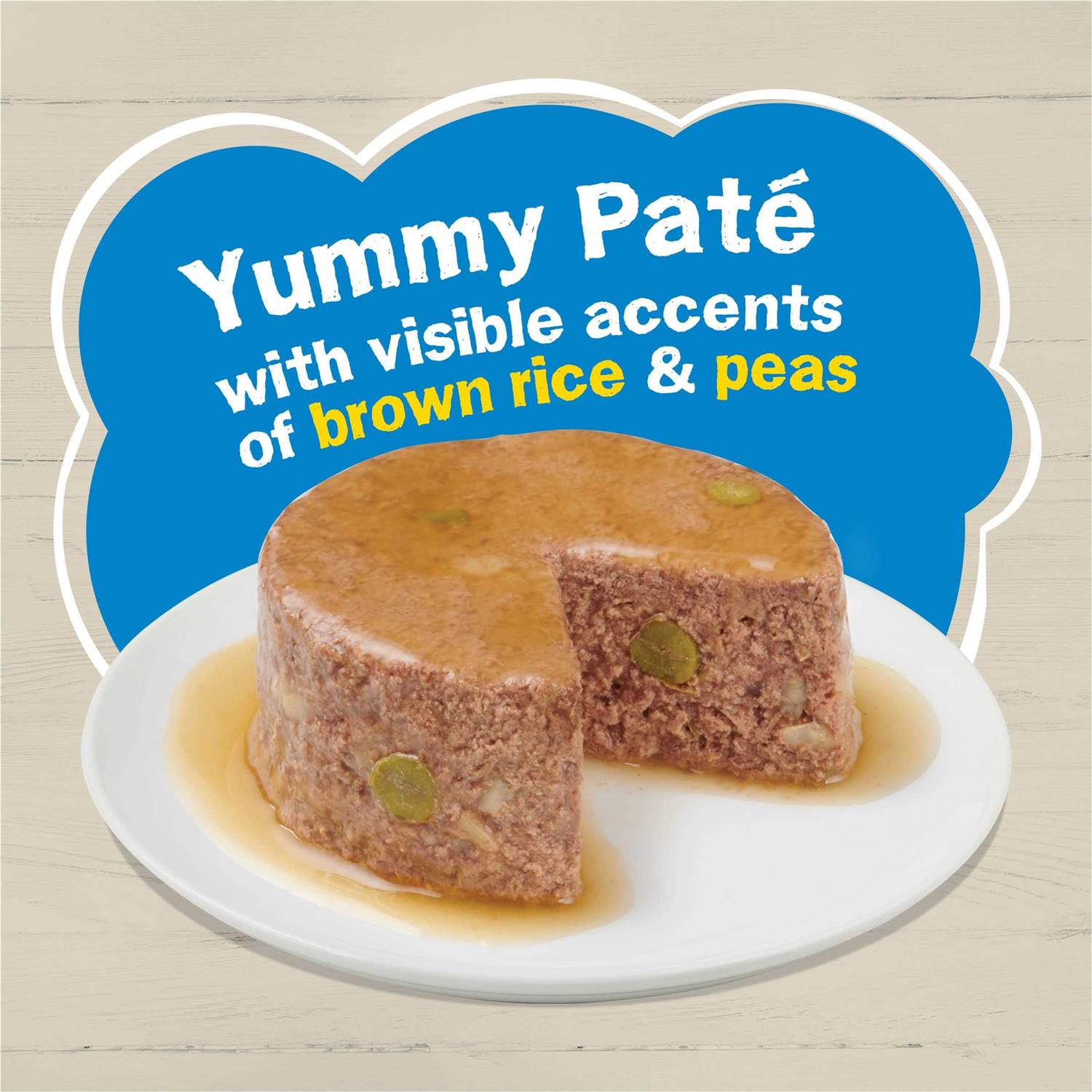 Purina Friskies Wet Cat Food Ocean Favorites