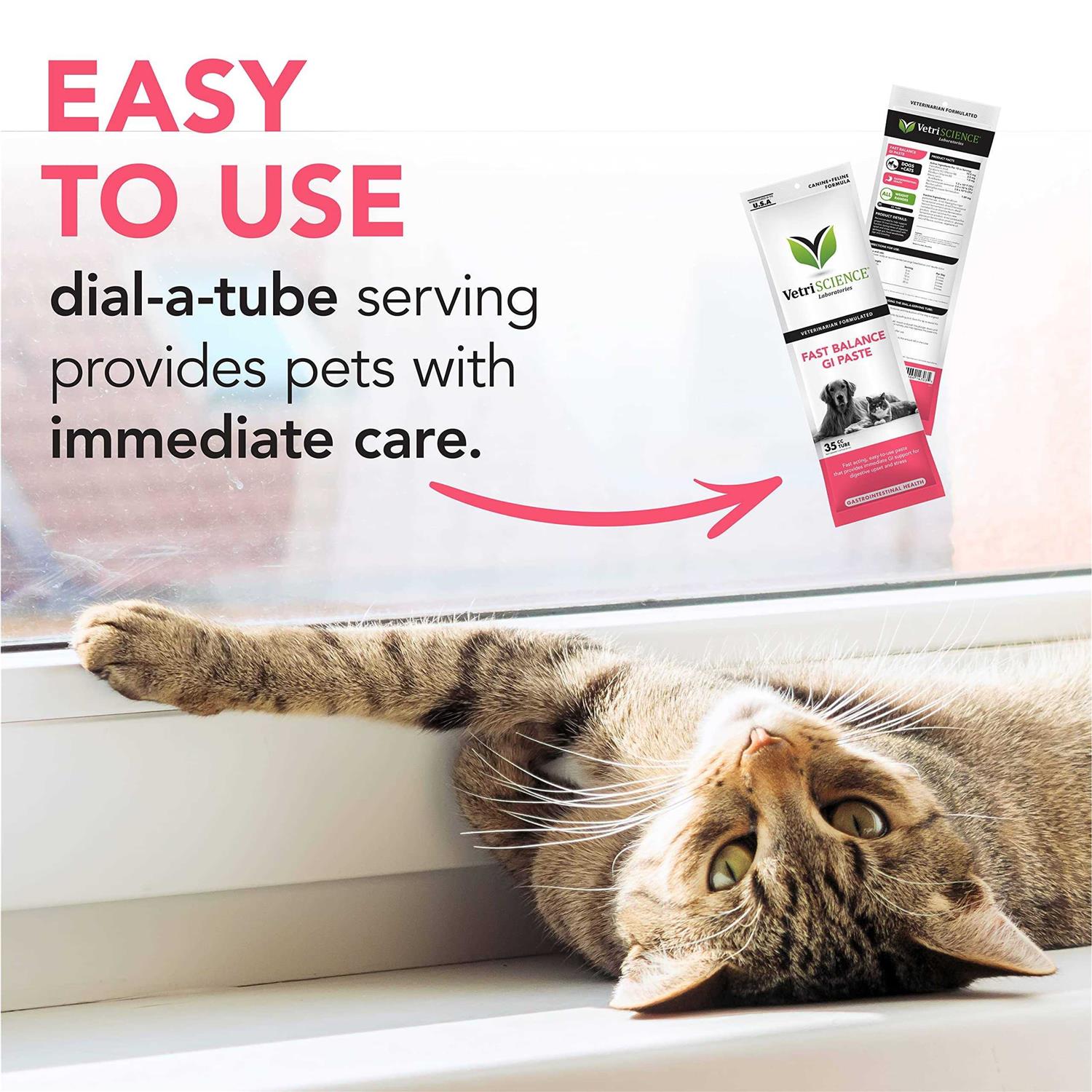 VetriScience Fast Balance G.I. Paste