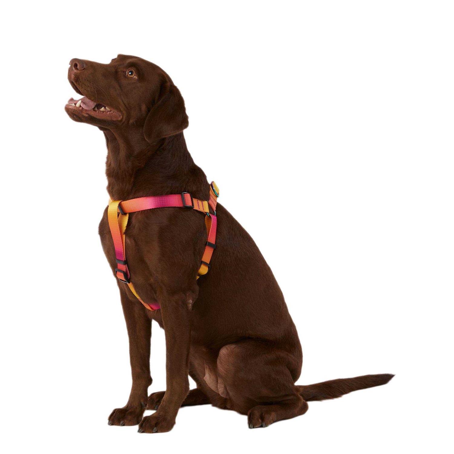 Top Paw Dog Top Pawyellow & Pink Ombre Dog Harness