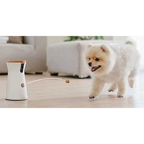 Furbo Dog Camera
