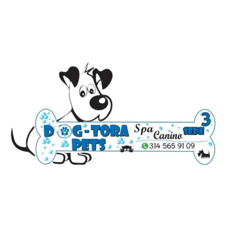 Royal Canin Puppy Loaf in Sauce Canned Dog Food