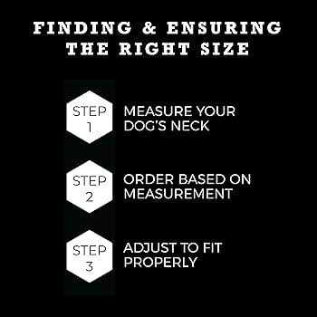 Wolfgang Dog Collar