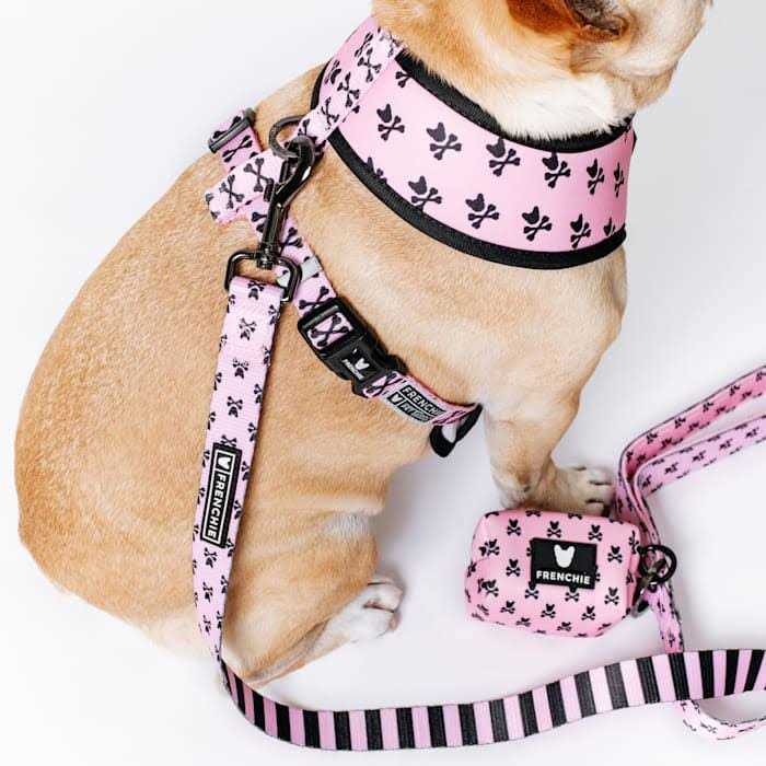 Frenchie Duo Reversible Harness