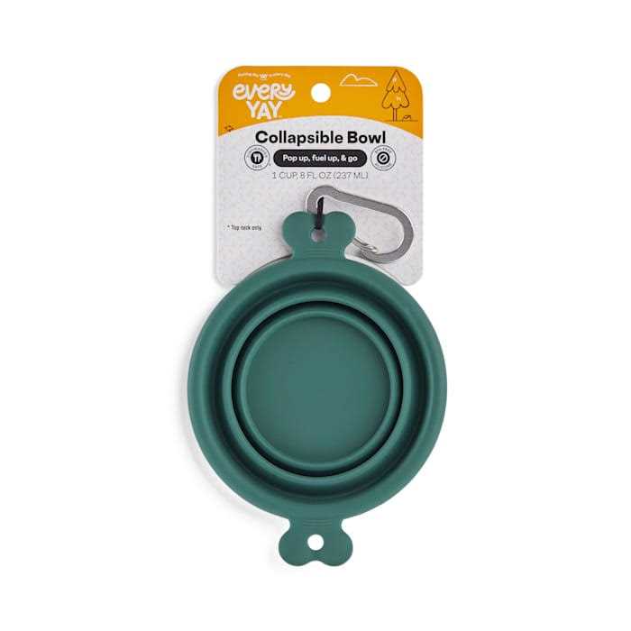EveryYay Open-Air Eats Collapsible Bowl for Dogs