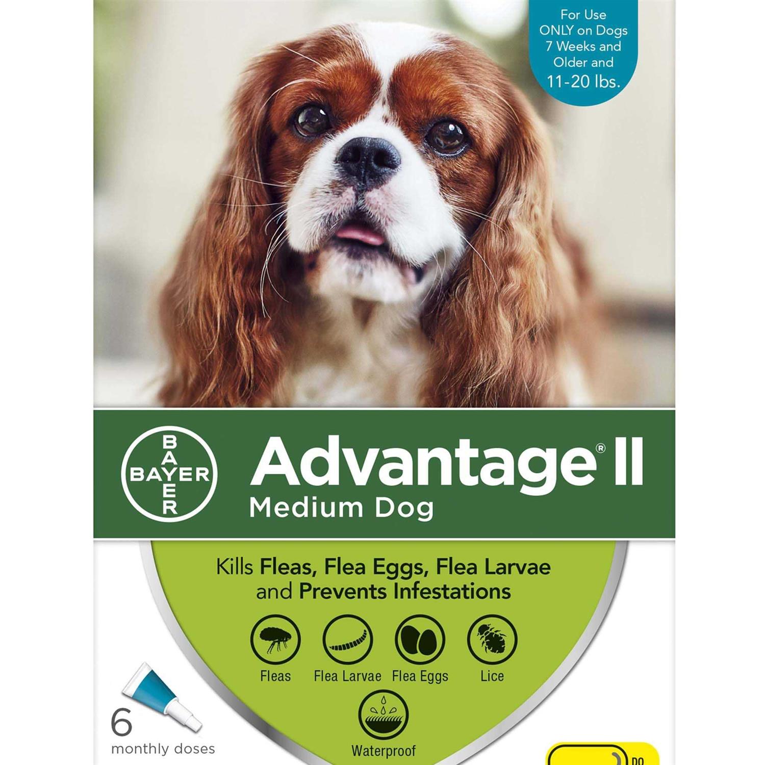 Advantage II for Dogs