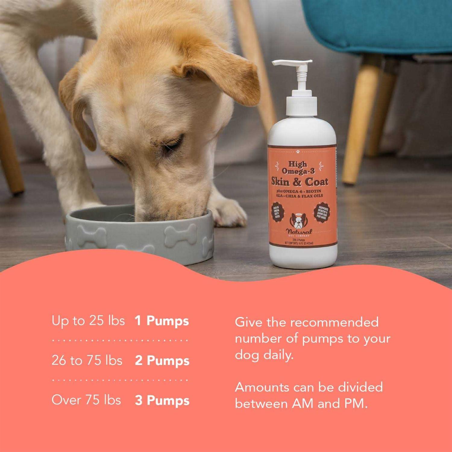 Natural Dog Company Skin & Coat Oil
