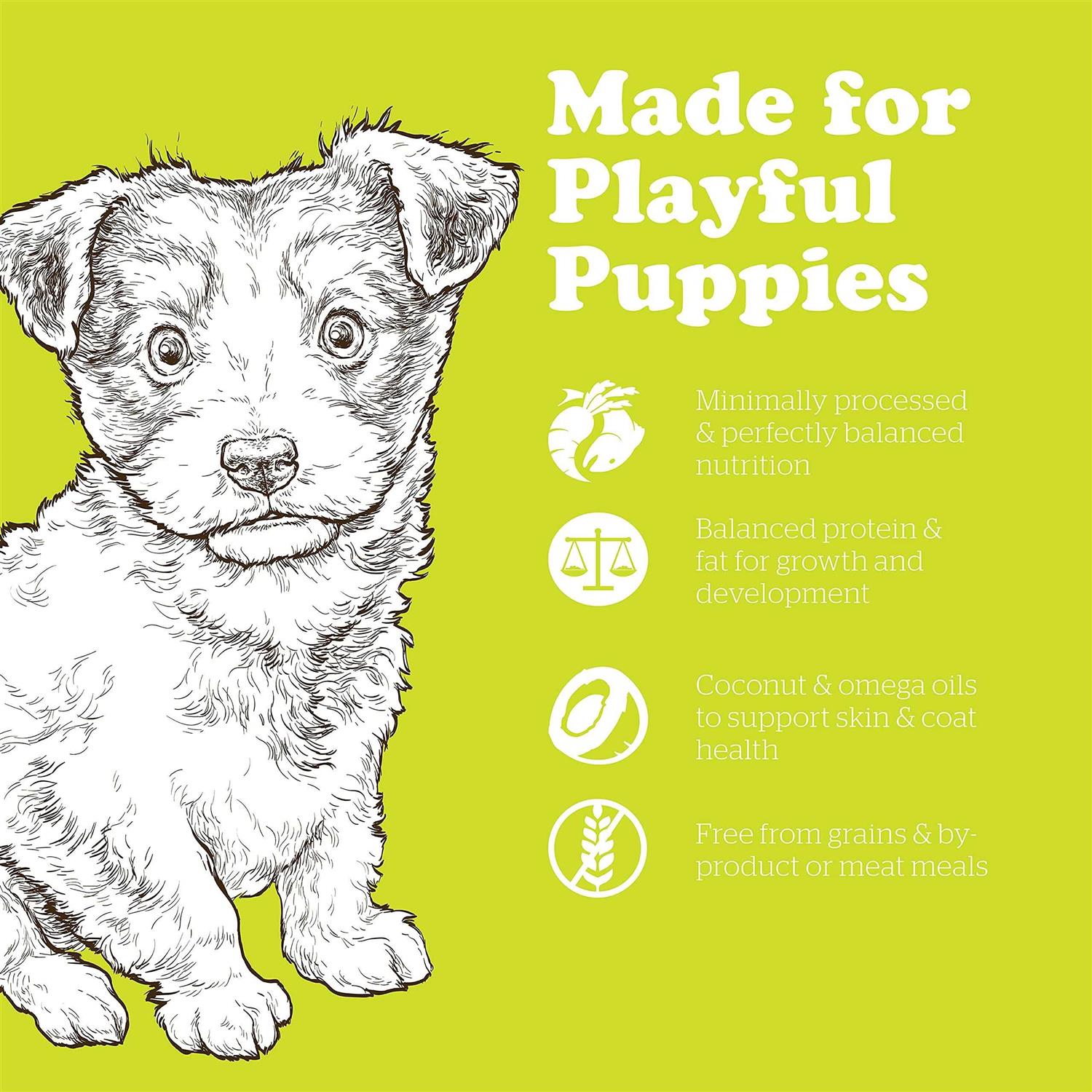 Petcurean Now Fresh Grain-Free Small Breed Puppy Recipe Dry Dog Food