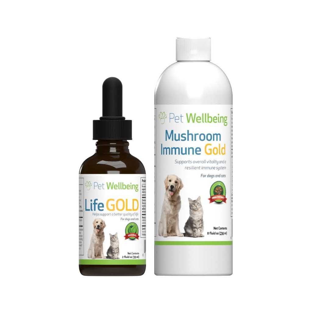 Pet WellBeing More Mushrooms Kit Comprehensive Care for Cat Cancer Support