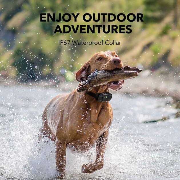 Dogcare TC-System-11 Dog Training System