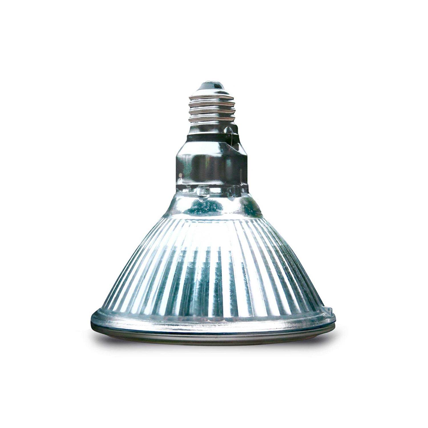 Arcadia Halogen Heat Lamp