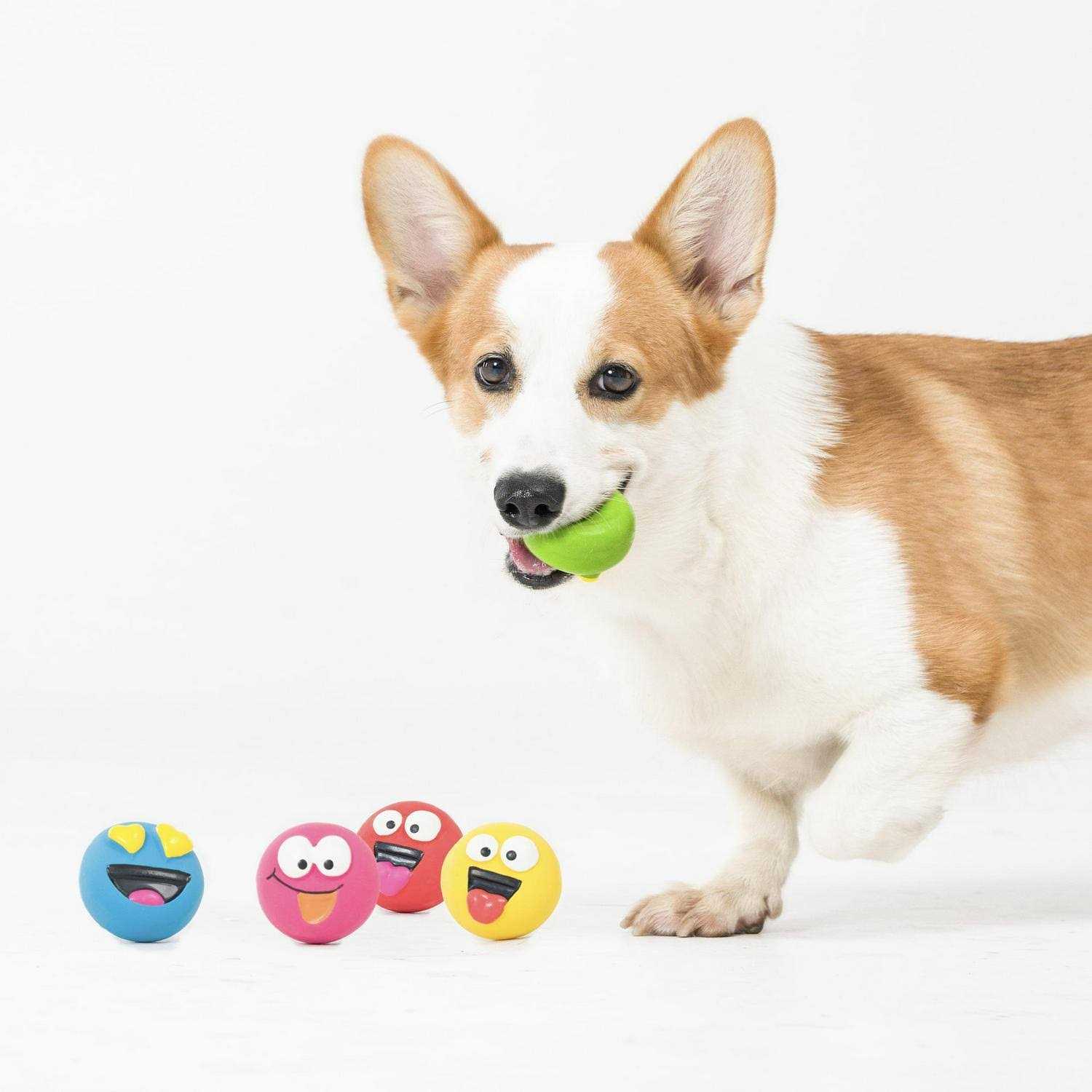 Vibrant Life Playful Buddy Dog Toys