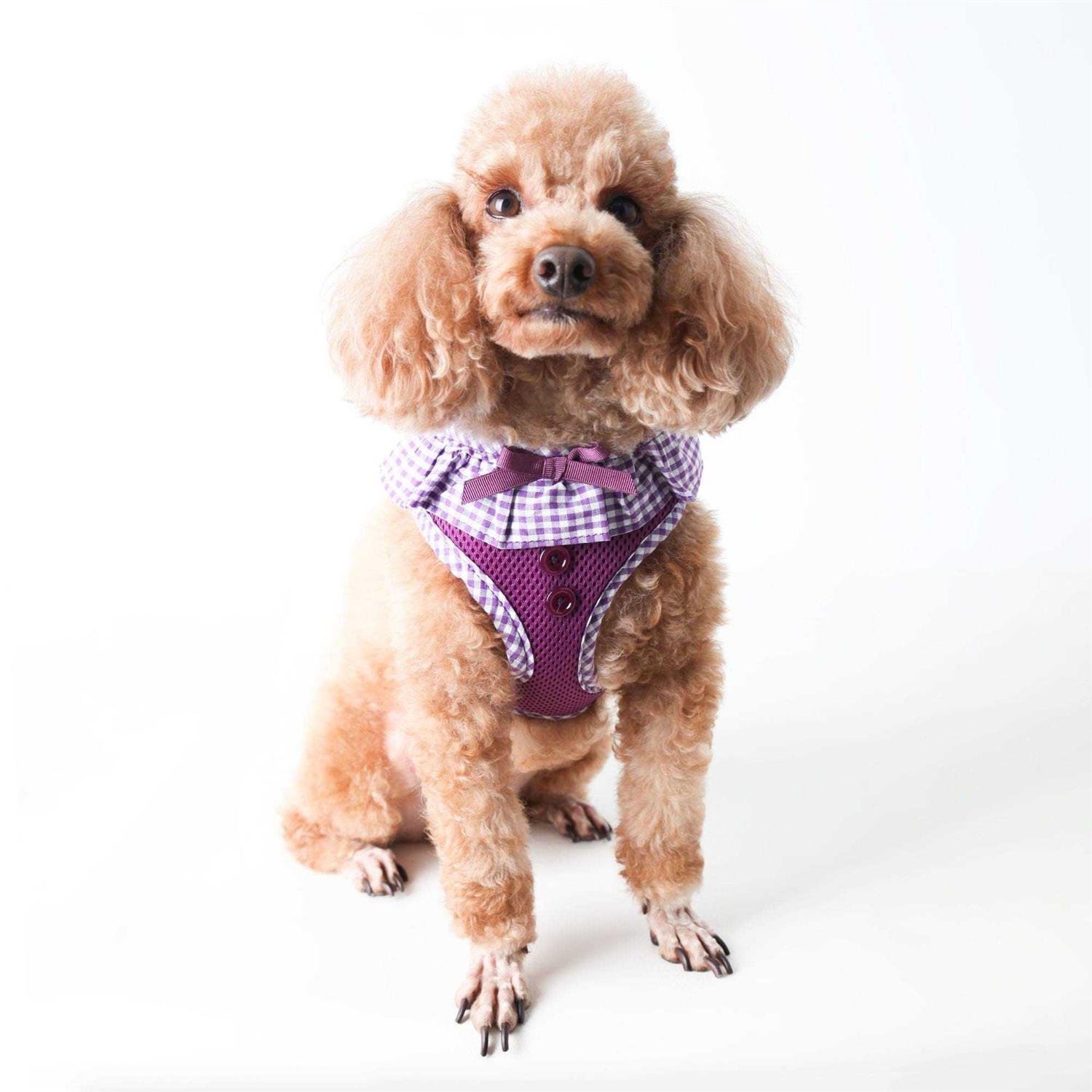 Puppia Harness Vivien